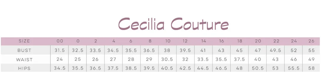 Cecilia Couture 1480 Silver Sweetheart A-Line Dress